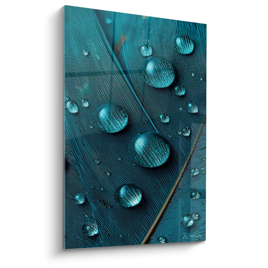 Quadro Piuma di Pavone Turchese con Gocce d'Acqua - Riflessi Cristallini - Edizione Piuma