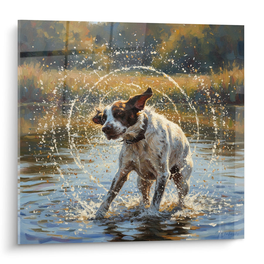 Tableau Chien Blanc et Roux Secouant l'Eau - Éclats Aquatiques - Edition Pointer Anglais
