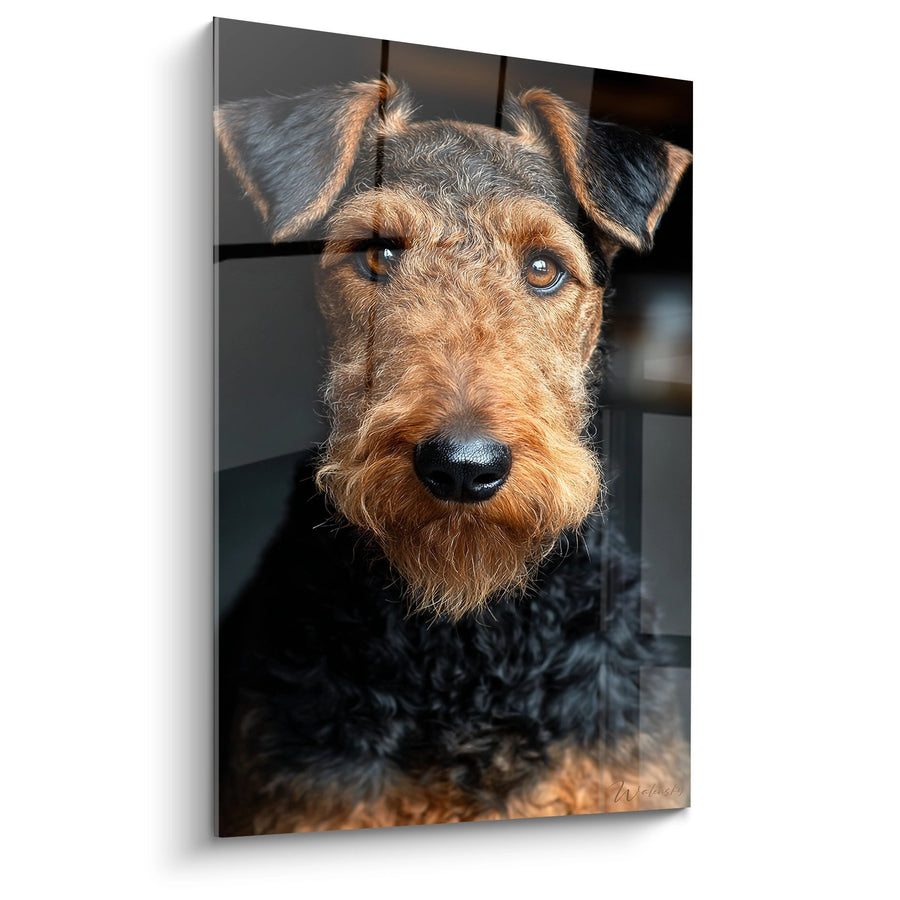 Tableau Portrait de Chien aux Tons Cuivrés et Regard Perçant - Noblesse Canine - Edition Airedale Terrier