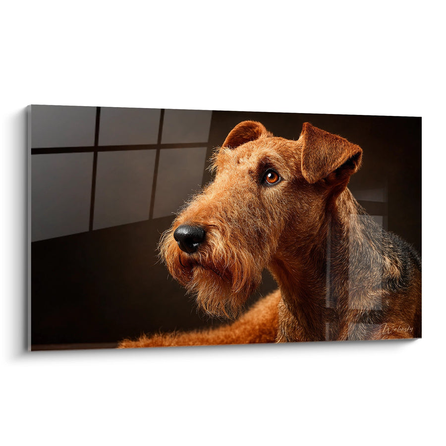 Tableau Portrait de Chien aux Tons Cuivrés et Regard Intense - Élégance Canine - Edition Airelade Terrier