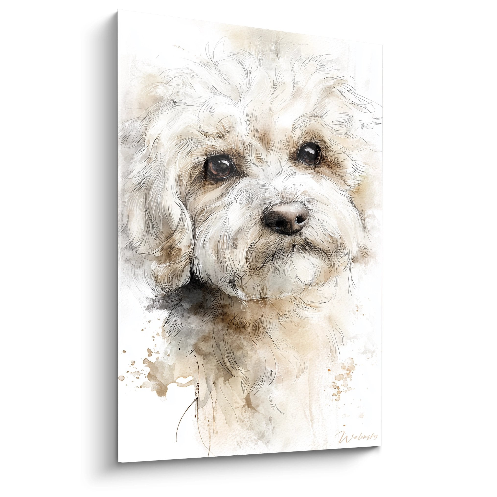 Portrait aquarelle Bichon Havanais pelage blanc et beige, regard tendre, style artistique contemporain sur fond blanc