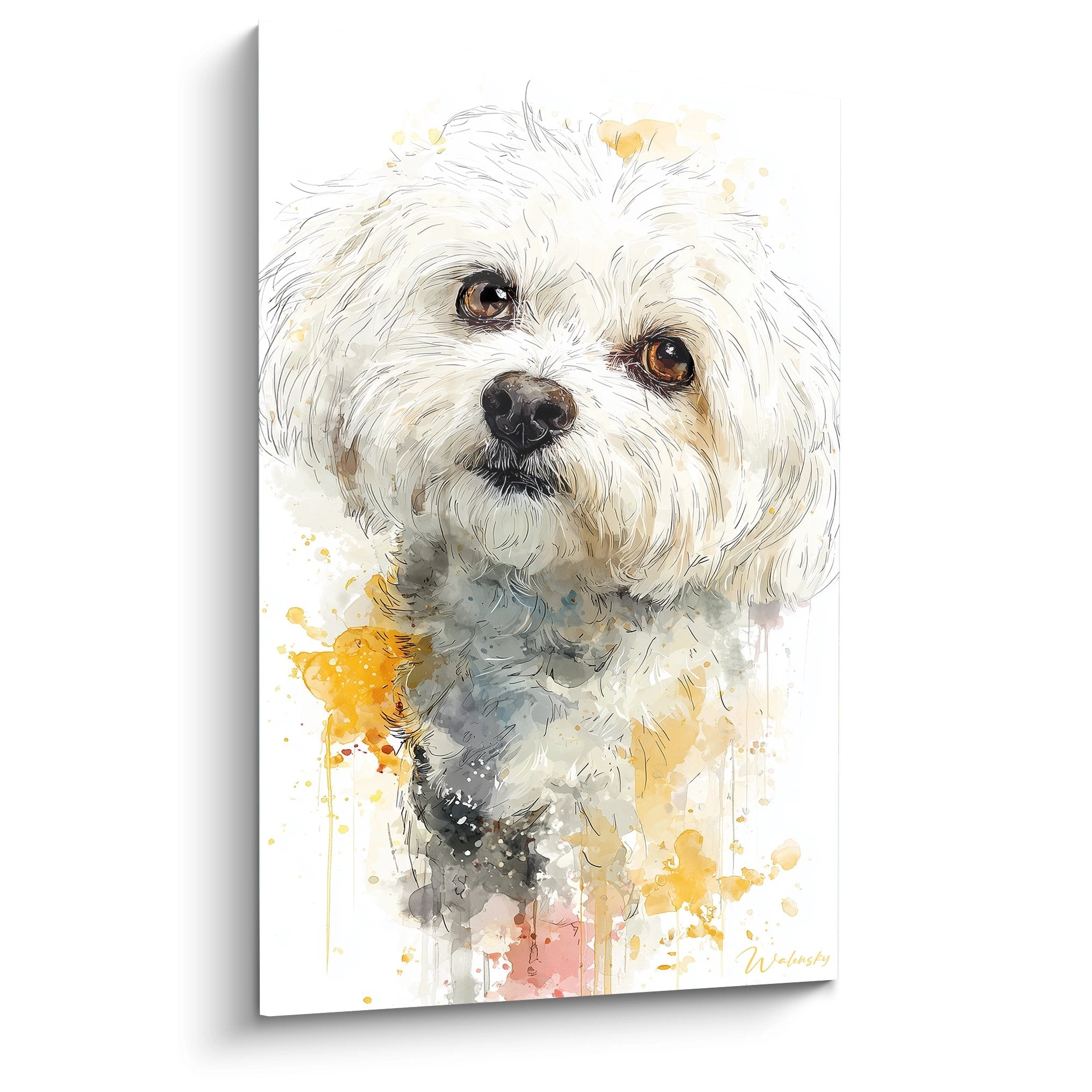 Portrait aquarelle Coton de Tuléar blanc aux yeux ambrés avec éclaboussures dorées sur fond blanc