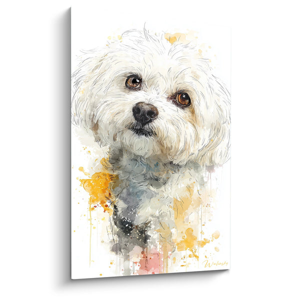Cuadro de Perro Blanco de Ojos Ámbar Acuarela - Mirada Tierna - Edición Coton de Tuléar