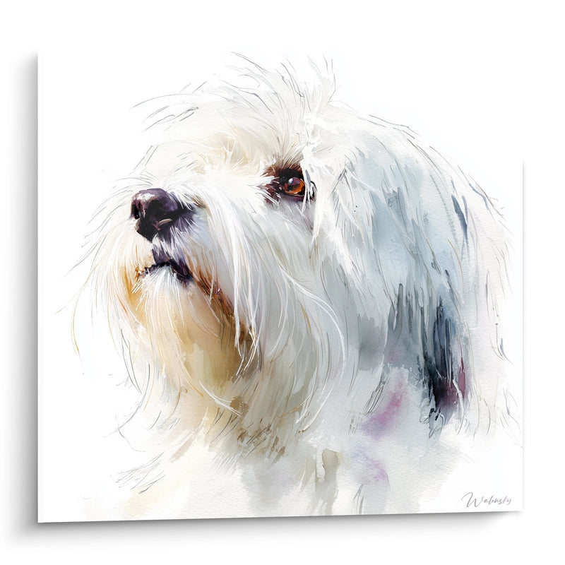 Weißer Hund mit goldenen Augen - Portrait Zarte Aquarelle - Edition Tulär Baumwolle