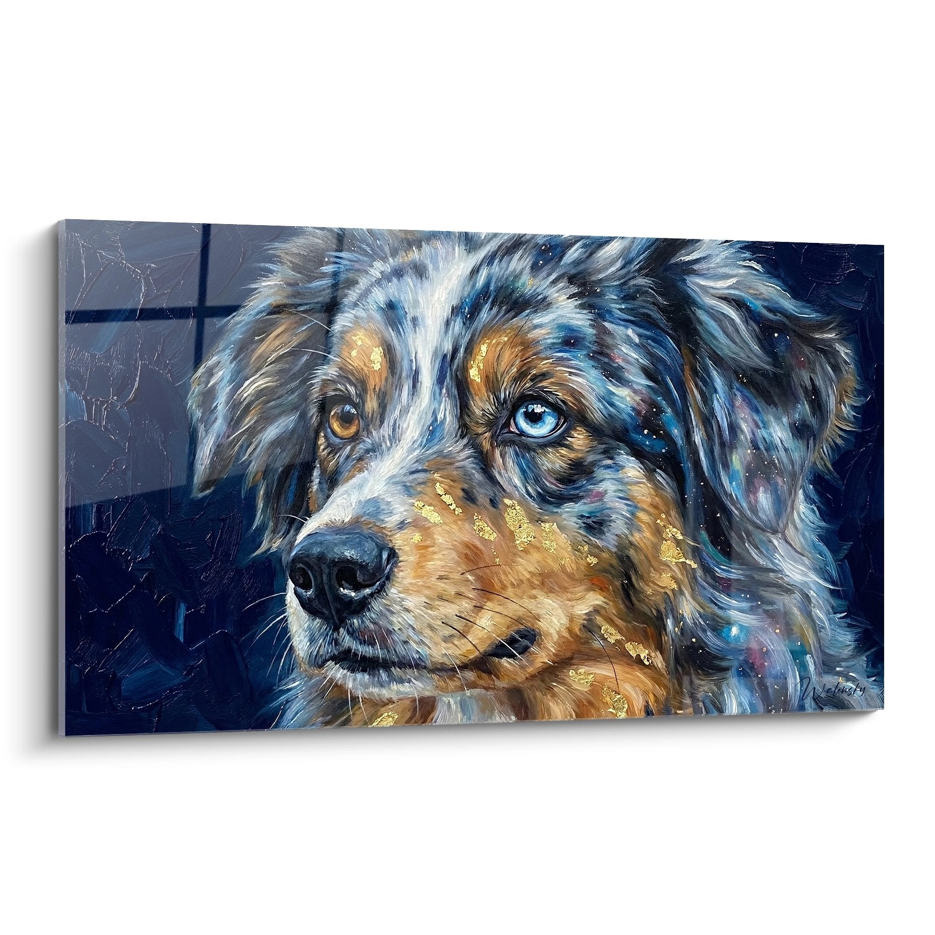 Portrait artistique berger américain miniature yeux vairons bleu ambre reflets dorés fond étoilé