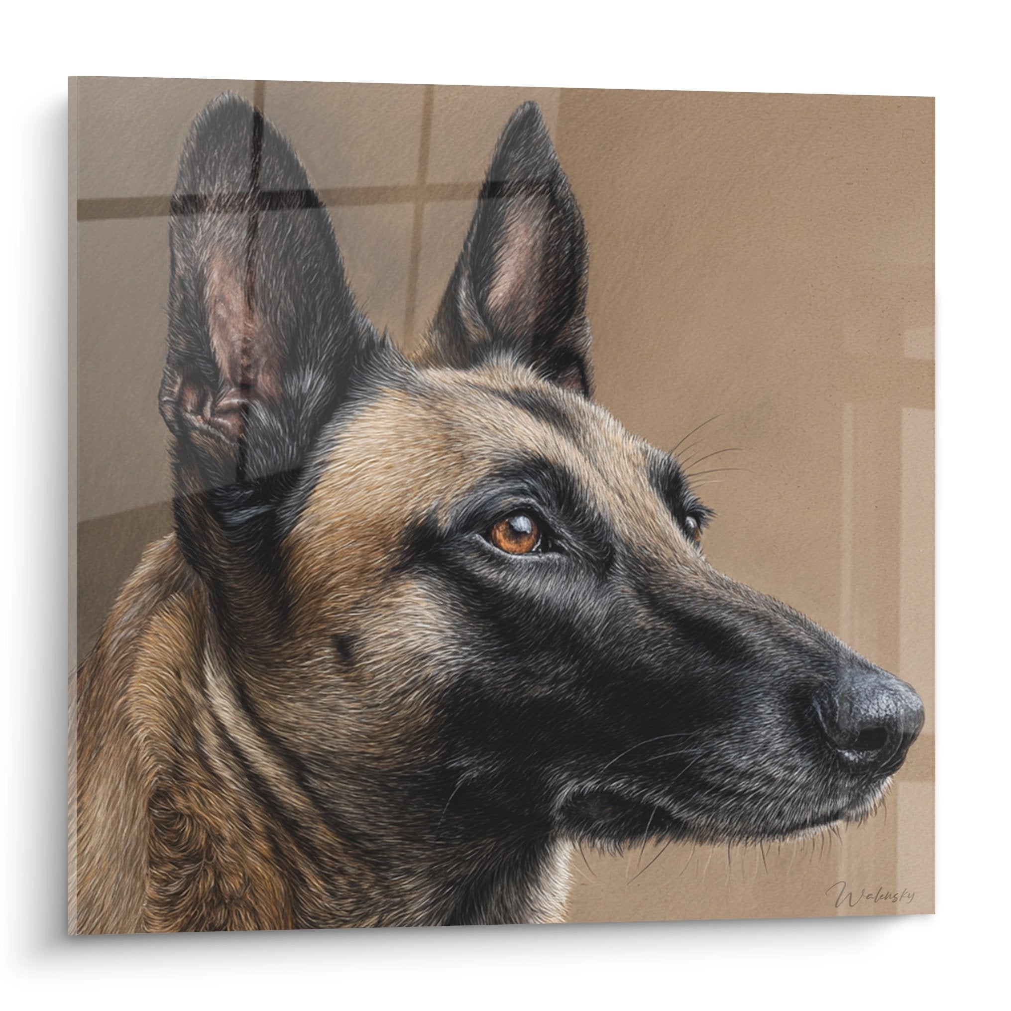 Realistic Belgian Malinois Shepherd portrait in profile, tawny and beige tones, noble gaze, vigilant expression