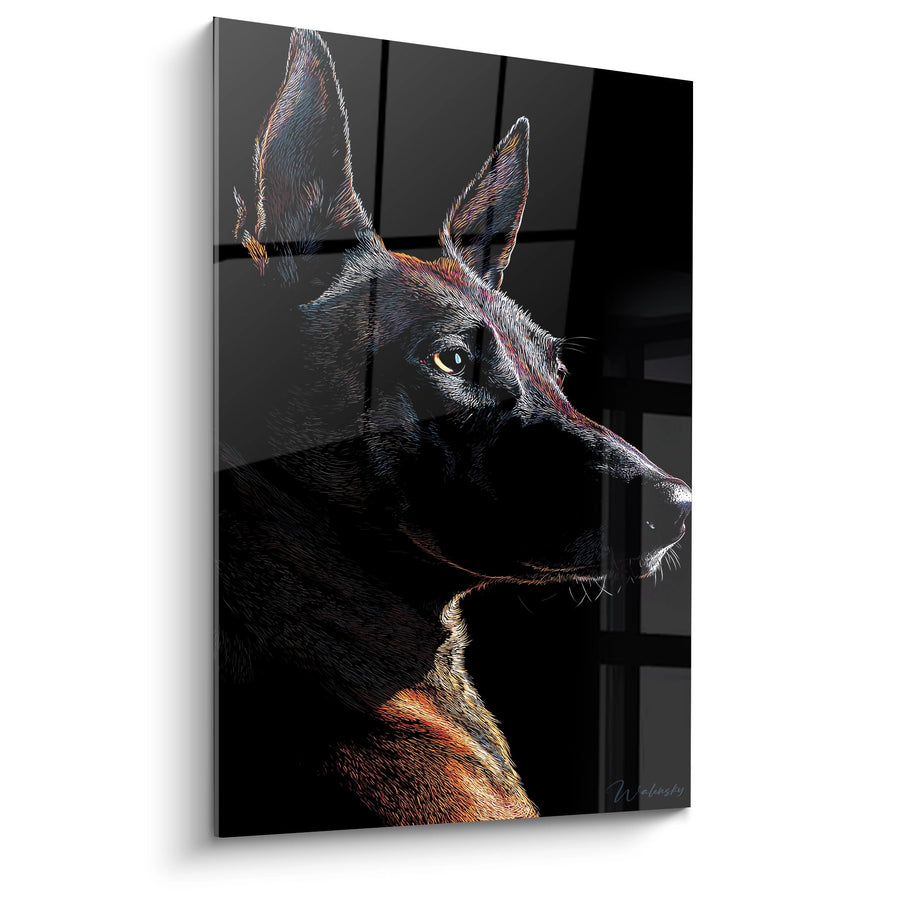 Tableau Portrait de Chien aux Traits Colorés - Regard Intense - Edition Berger Belge Malinois