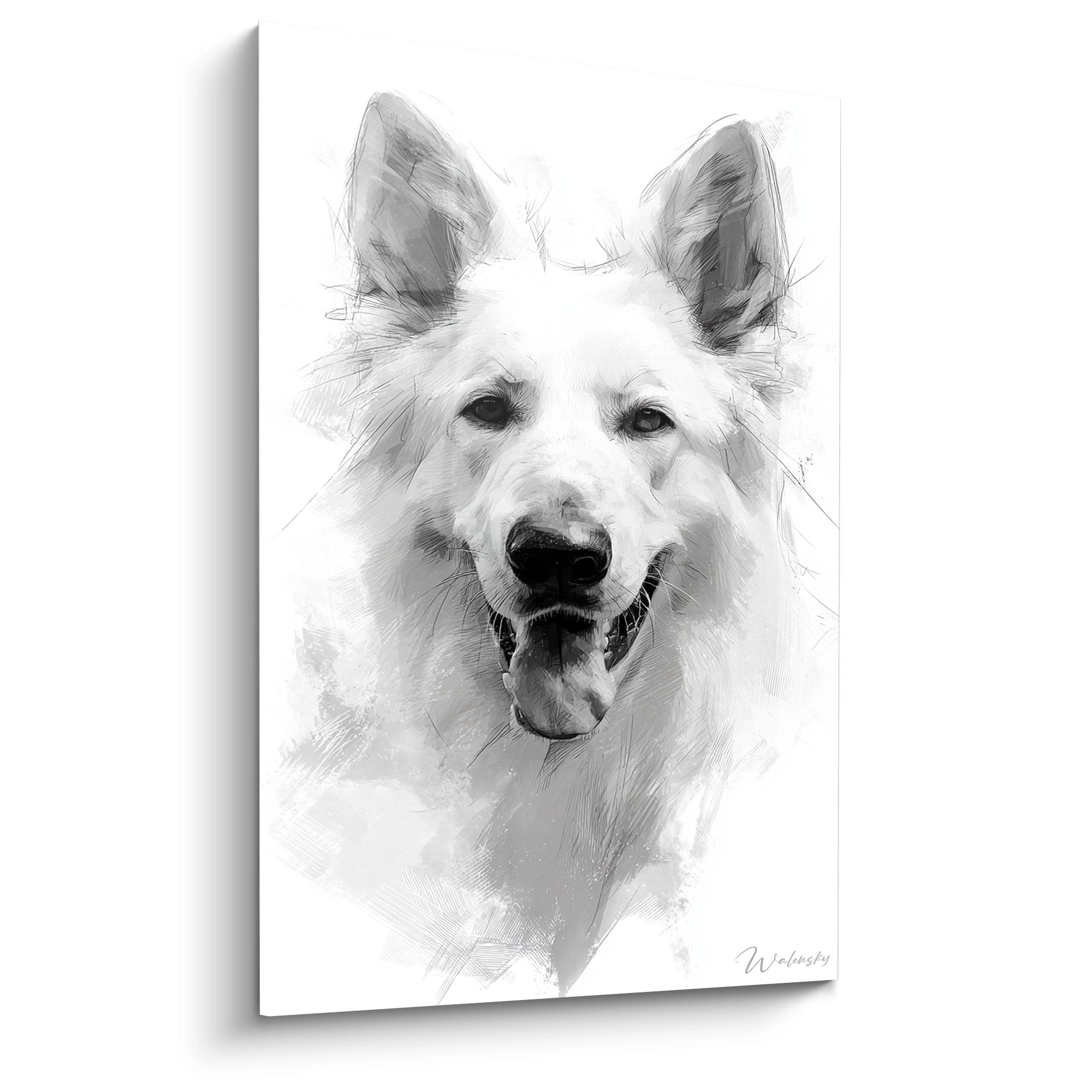Portrait artistique Berger Blanc Suisse nuances grises regard expressif style esquisse