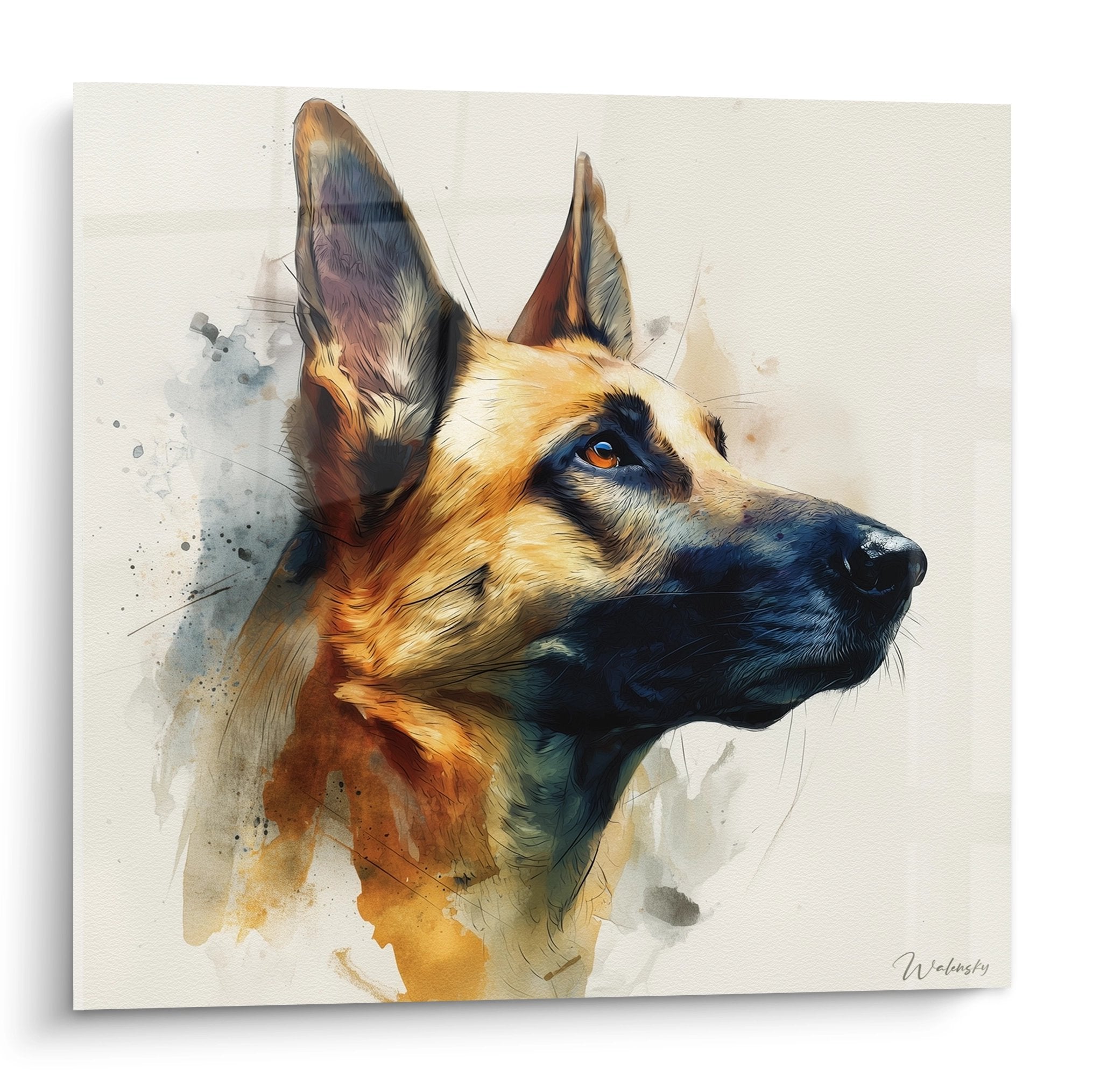 Portrait aquarelle Berger Hollandais profil tons dores bleus fond beige style artistique moderne