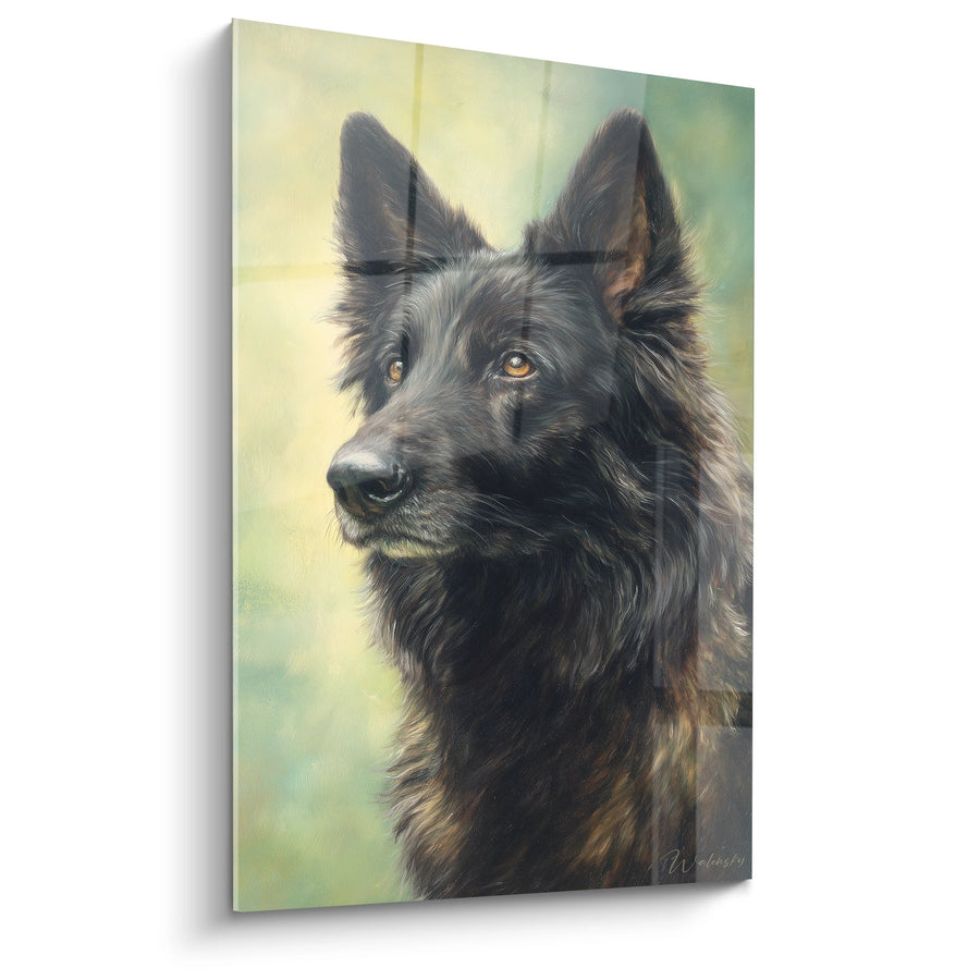 Tableau Berger Hollandais Portrait Majestueux Regard Ambré - Noblesse Canine - Edition Berger Hollandais