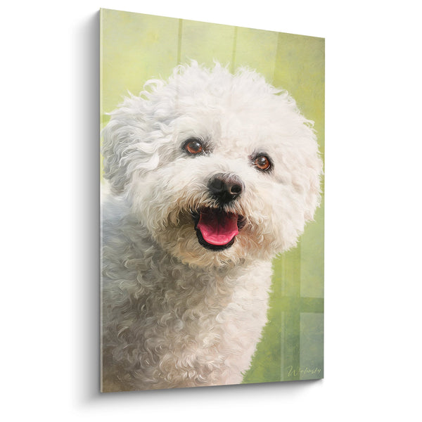 Cuadro de Perro Blanco Rizado con Mirada Expresiva - Retrato Canino Luminoso - Edición Bichón Frisé