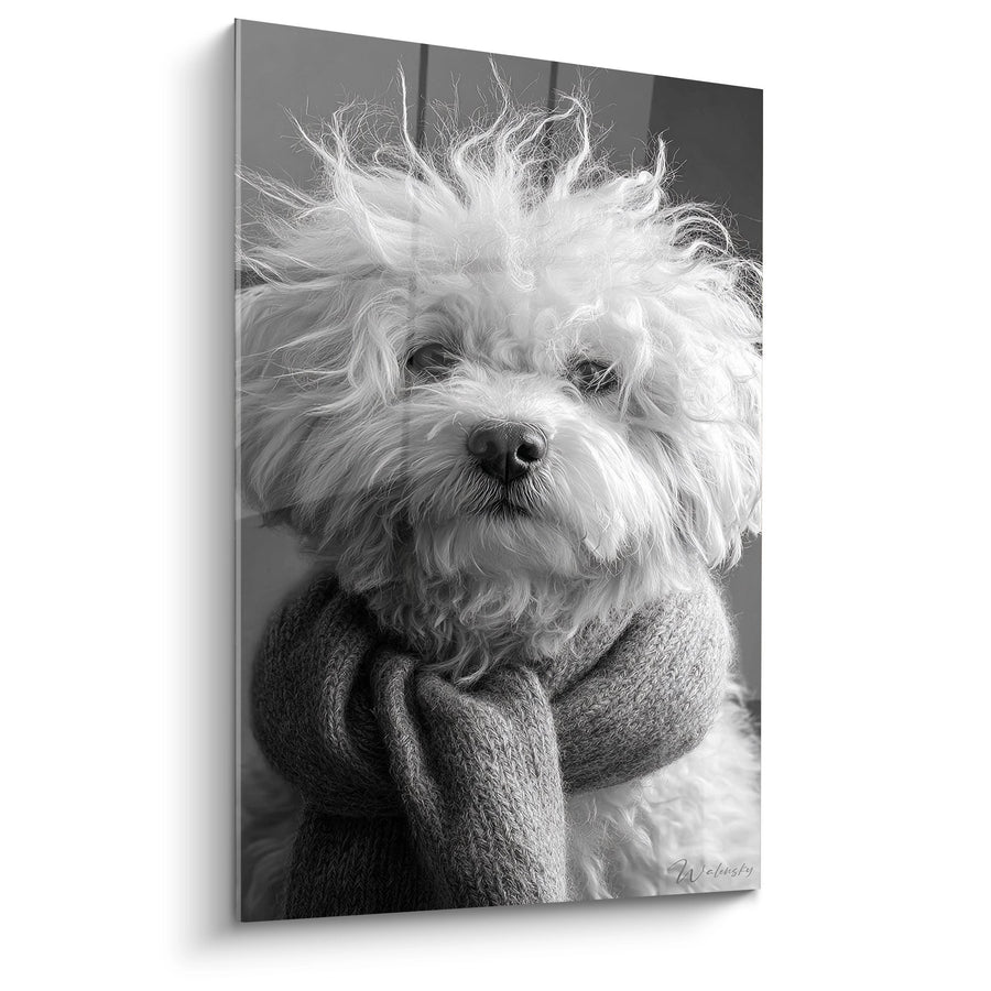 Obraz Bichon Frisé w Swetrze Dzianinowym Czarno-Biały - Poruszający Portret - Edycja Bichon Frisé