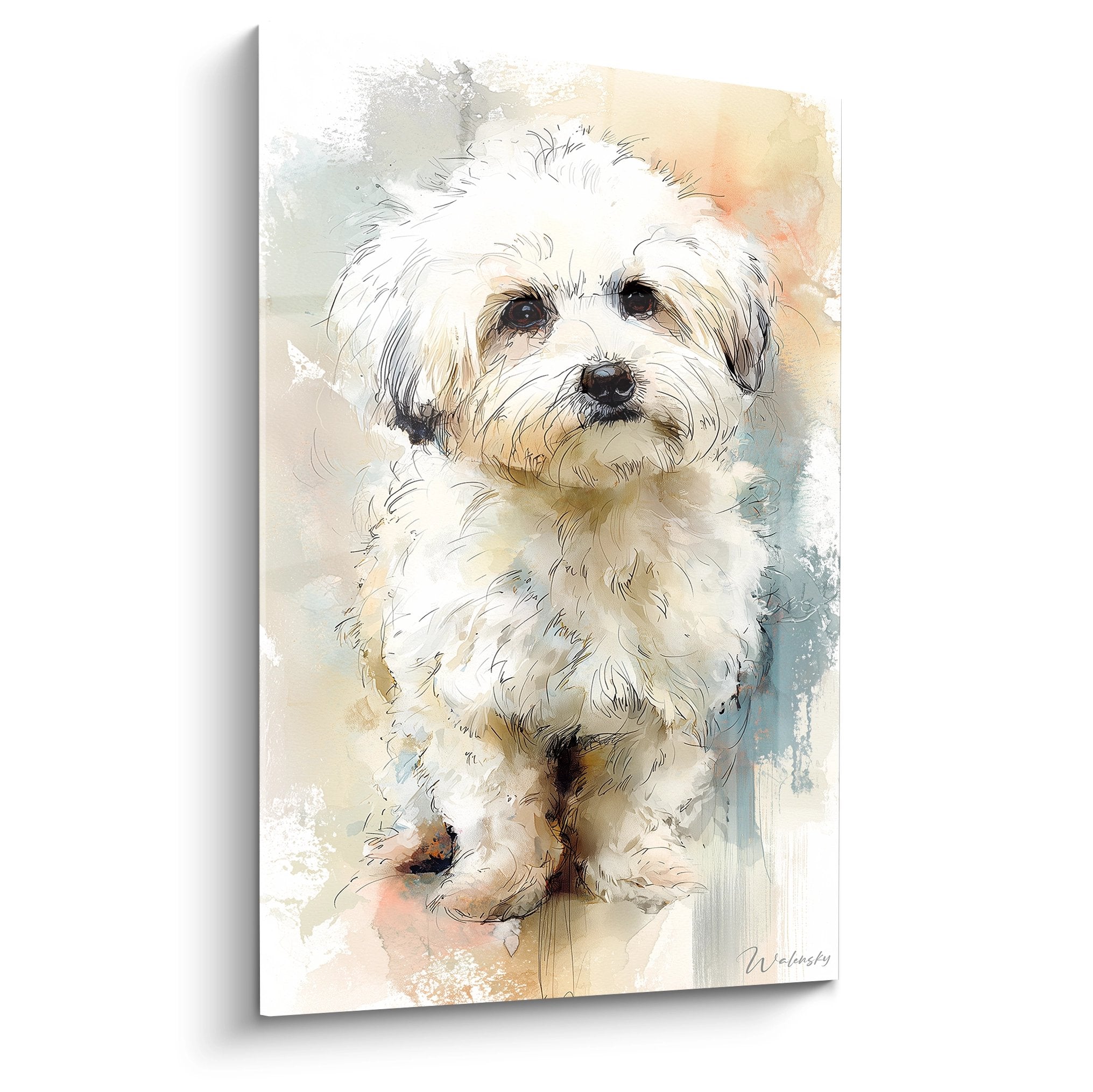 Portrait aquarelle Bichon Havanais pelage blanc reflets dores fond bleu poudre regard expressif style artistique contemporain