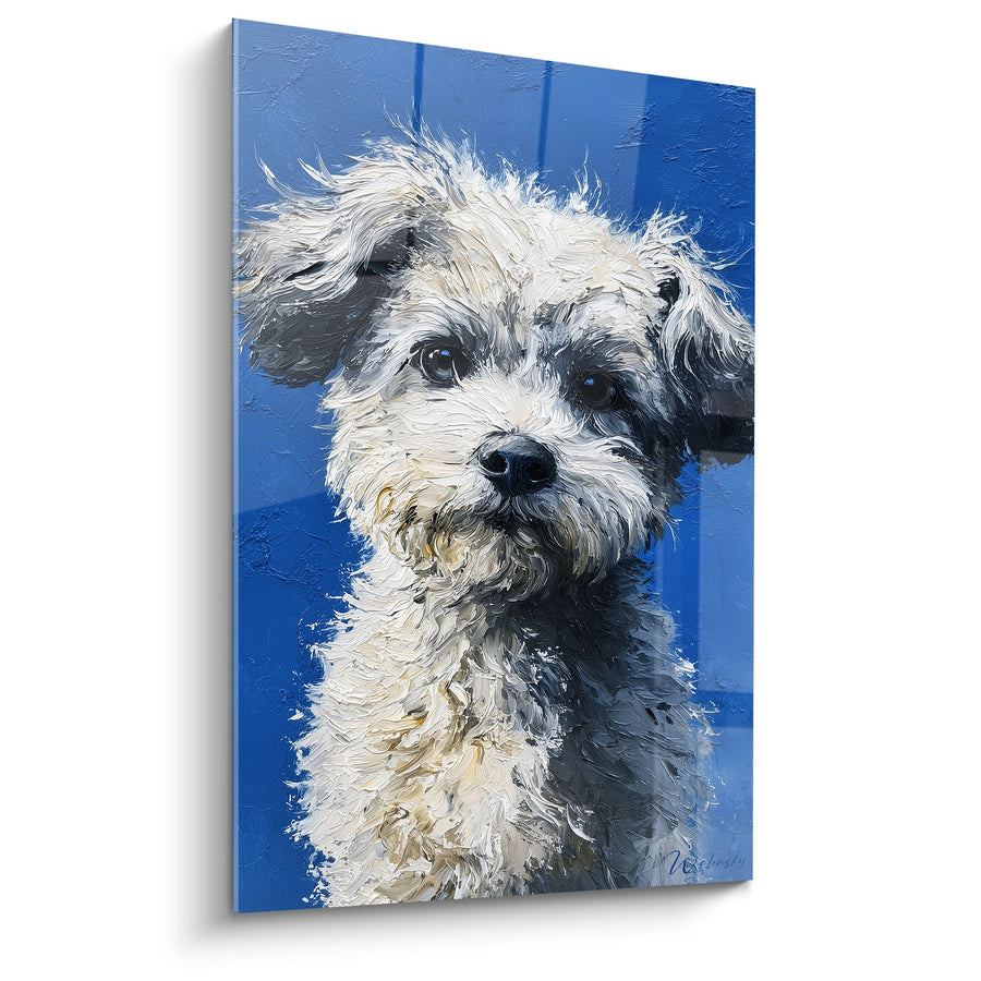 Tableau Portrait Canin aux Yeux Bruns sur Fond Bleu Cobalt - Regard Tendre - Edition Bichon Havanais