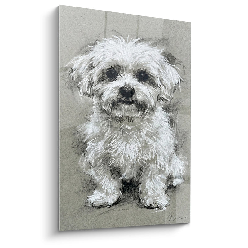Tableau Portrait de Chien aux Tons Pastel - Tendresse Canine - Edition Bichon Maltais