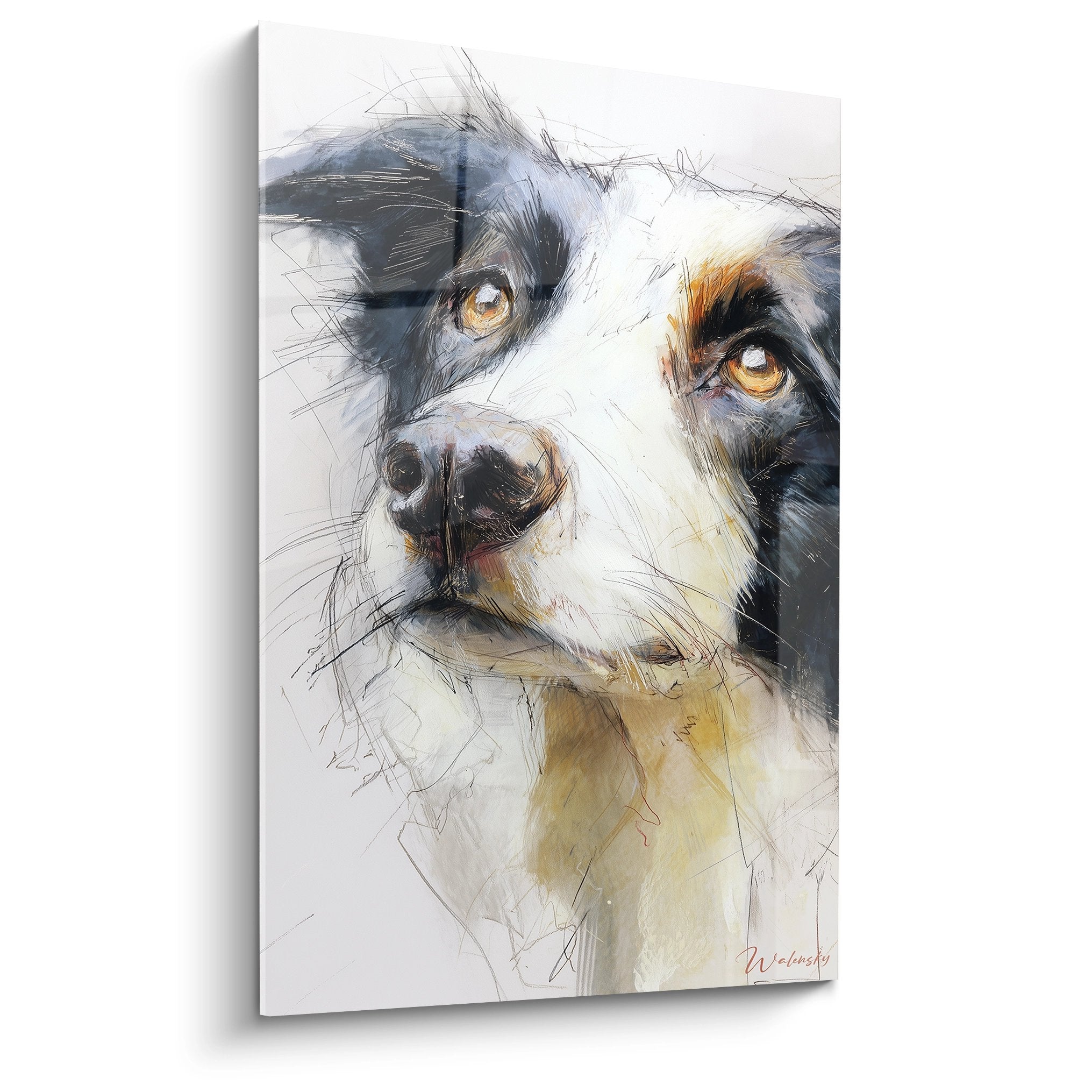 Portrait artistique Border Collie yeux dorés expressifs technique esquisse tons noir blanc ocre