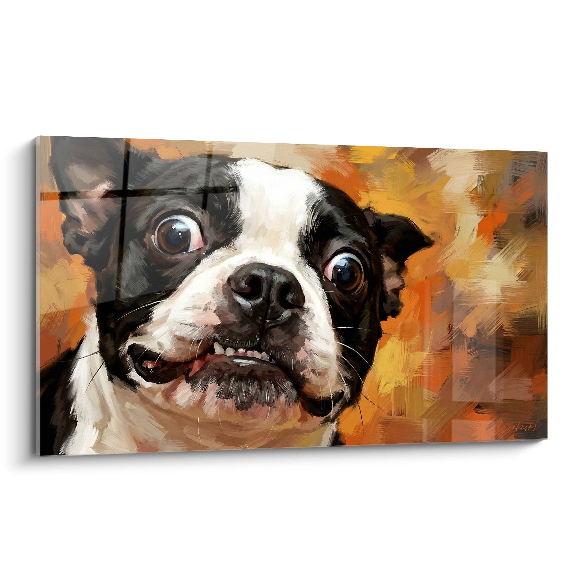 Portrait expressif Boston Terrier yeux bruns fond orange peinture moderne