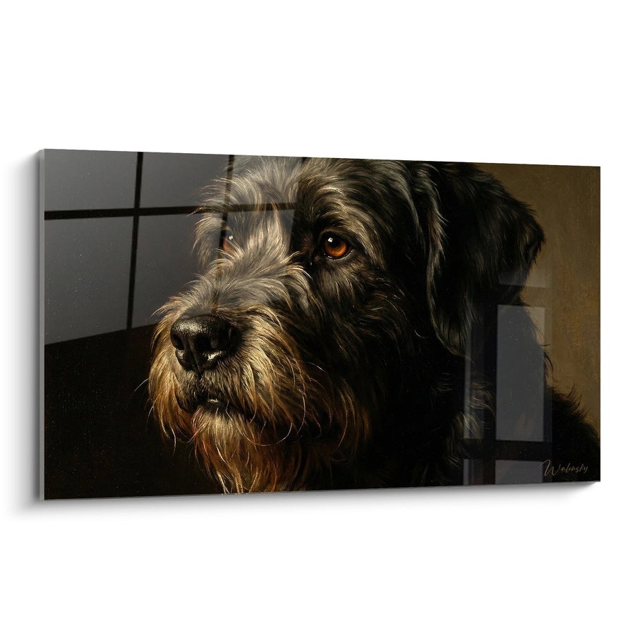 Tableau Chien aux Yeux Ambrés en Intérieur - Regard Captivant - Edition Bouvier des Flandres