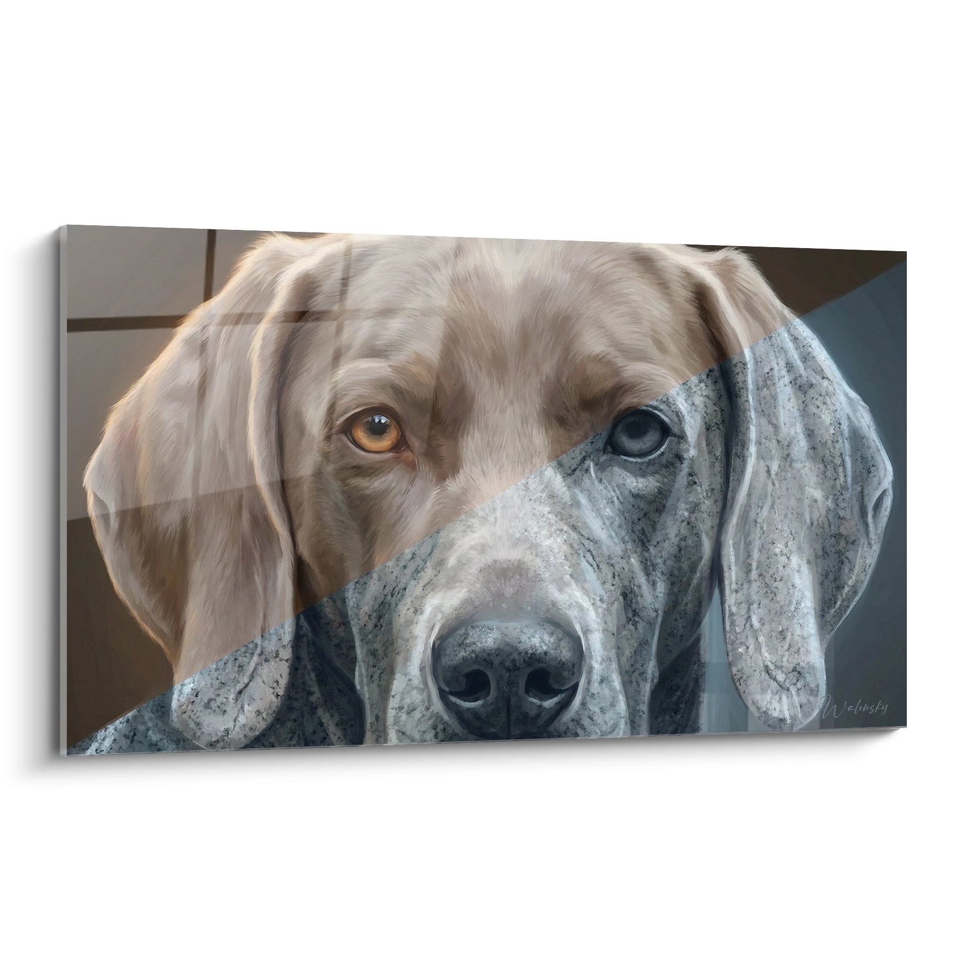 Portrait rapproche braque weimar yeux vairons ambre bleu pelage gris beige truffe noire tableau mural