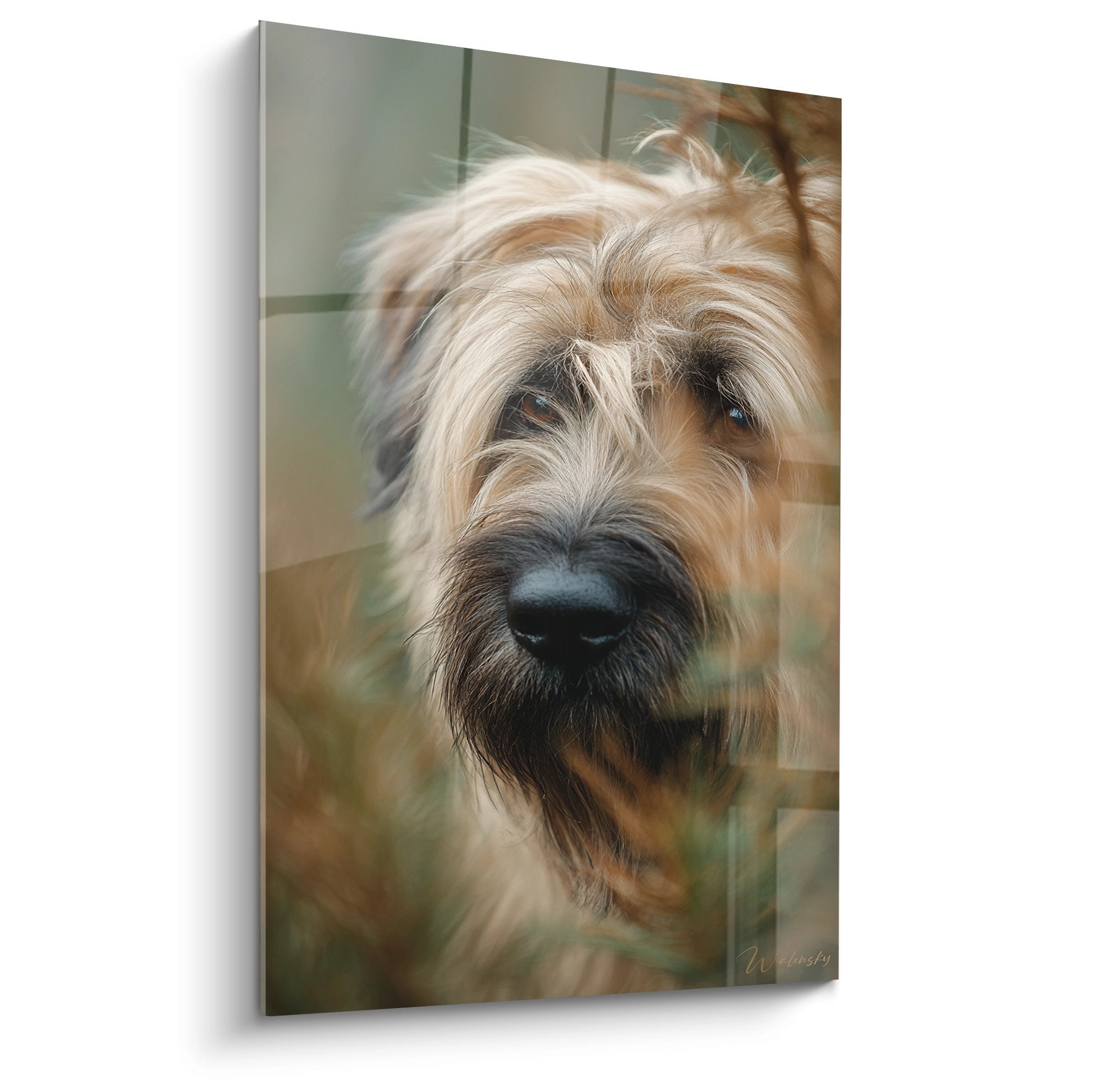 Portrait artistique de Briard au pelage doré et regard expressif sur fond flou vert et brun