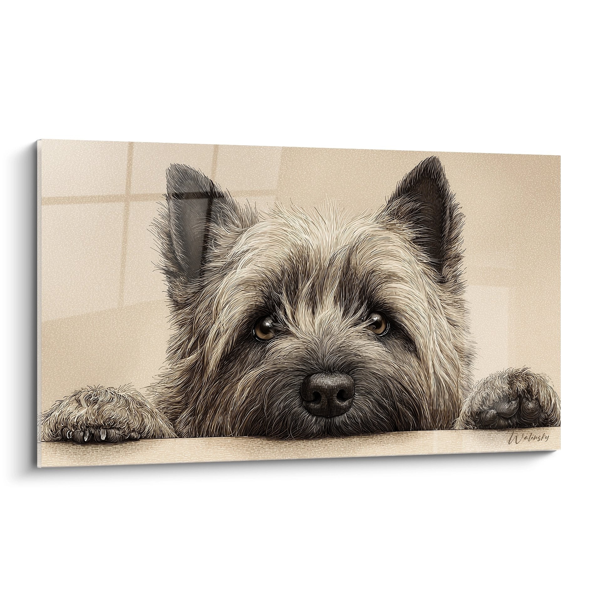 Portrait realiste Cairn Terrier allonge pattes croisees regard melancolique yeux dores pelage brun fauve