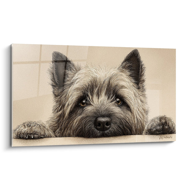 Cuadro de Perro con Ojos Melancólicos Tendido - Mirada Tierna - Edición Cairn Terrier