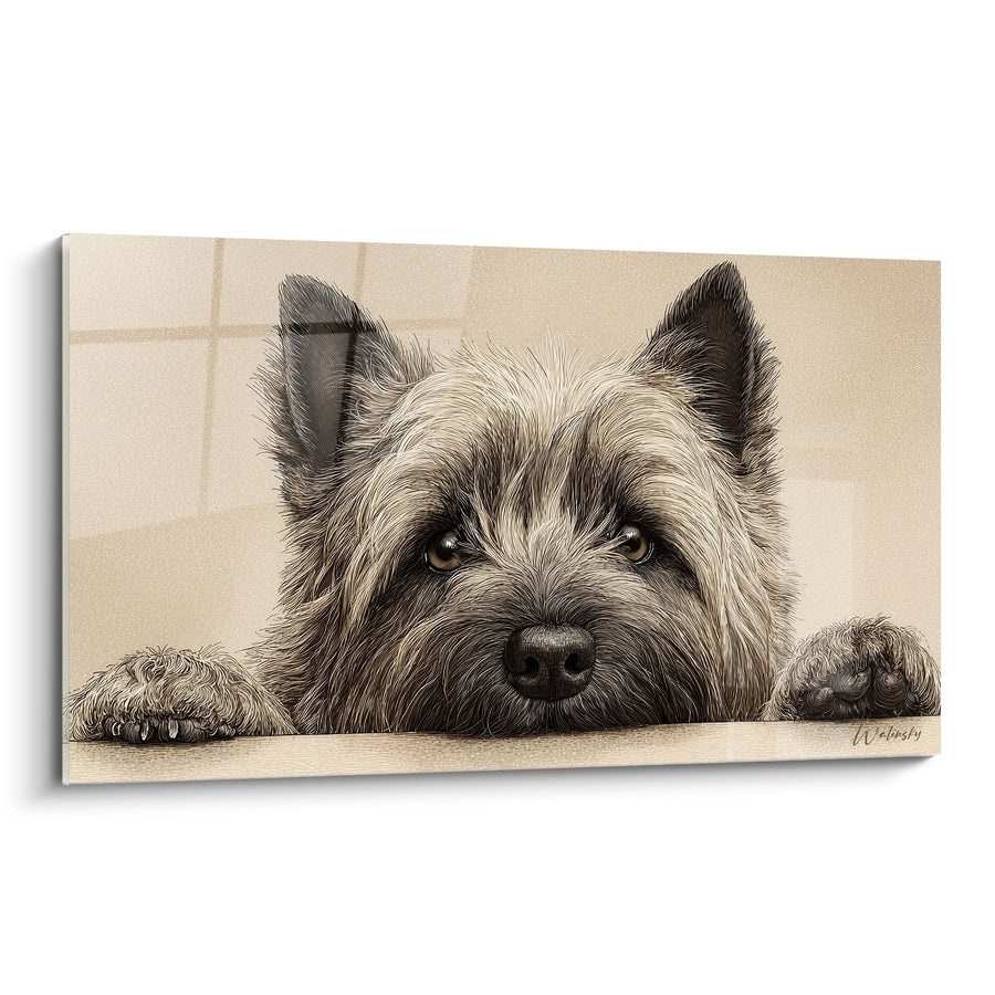 Tableau Chien aux Yeux Mélancoliques Allongé - Regard Tendre - Edition Cairn Terrier