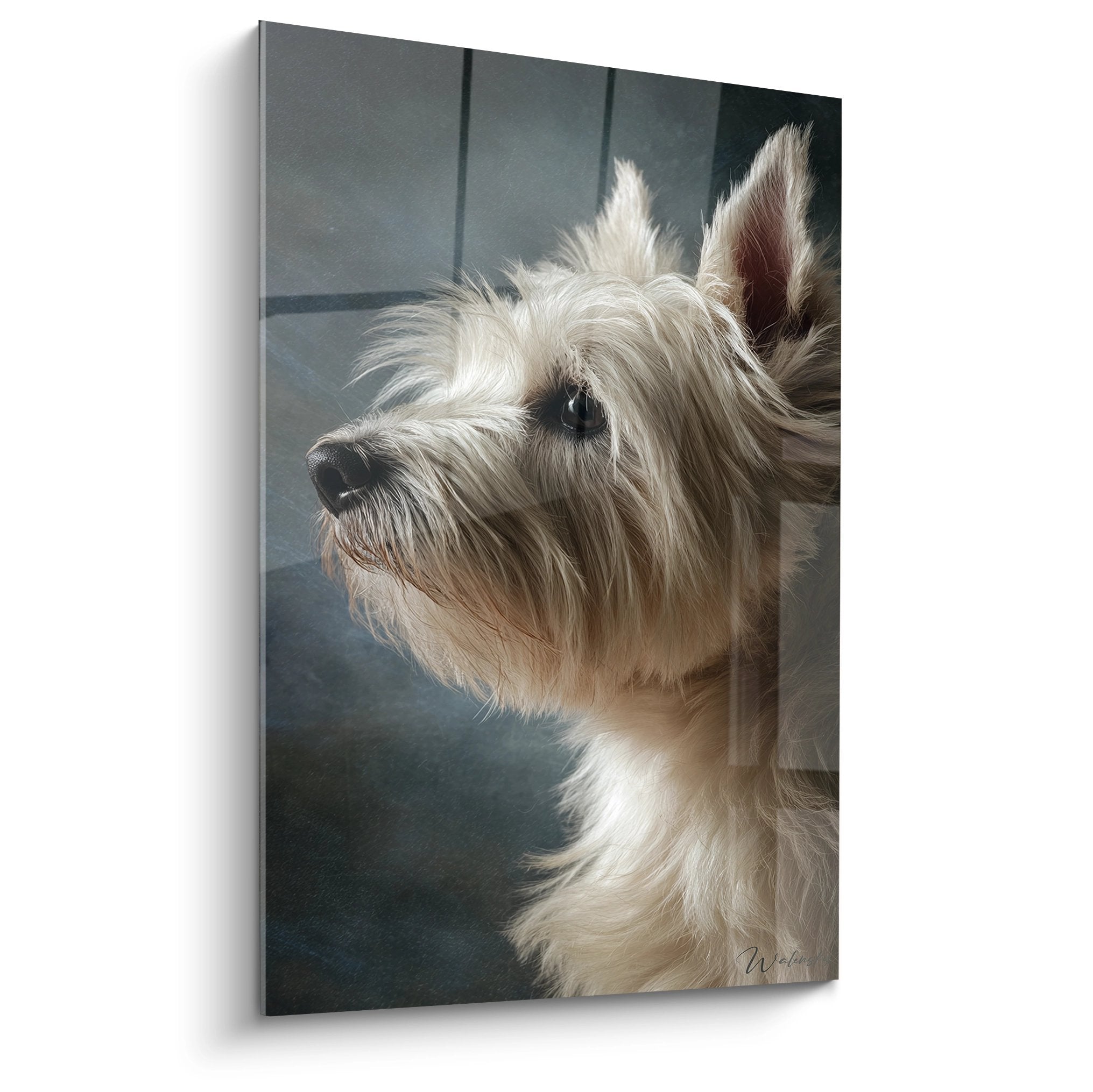Portrait artistique Cairn Terrier pelage beige regard expressif fond bleu-gris tableau mural