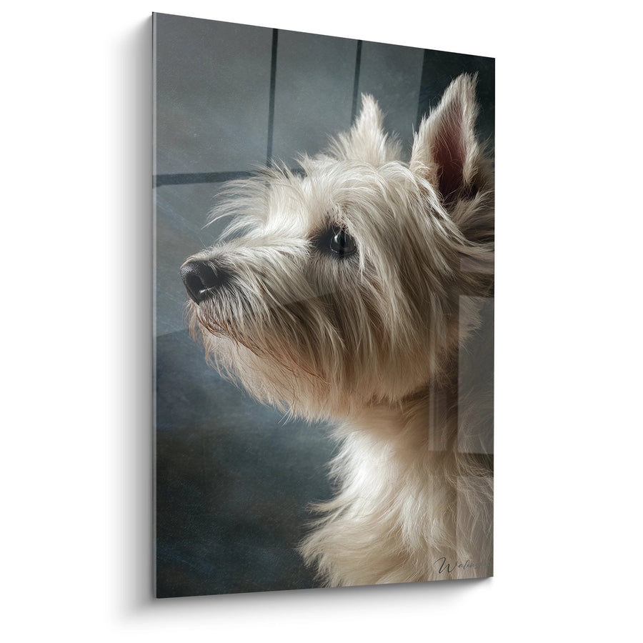 Tableau Portrait Canin aux Tons Beiges et Bruns - Regard Mélancolique - Edition Cairn Terrier