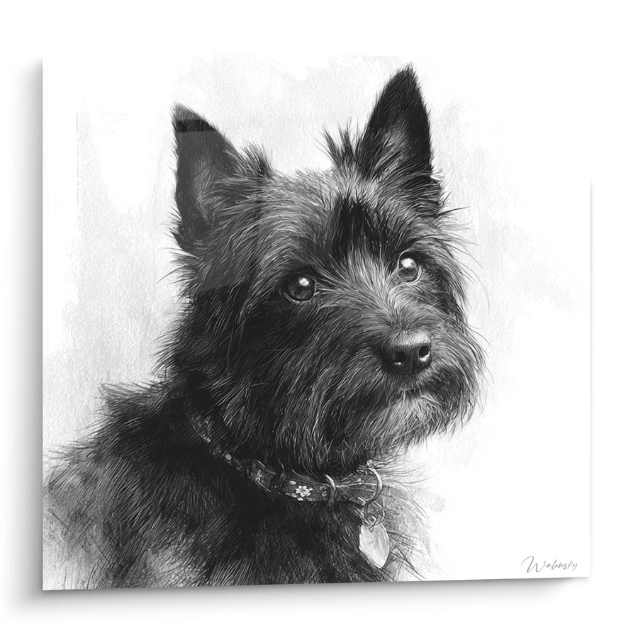 Tableau Portrait de Chien au Crayon avec Collier - Regard Tendre - Edition Cairn Terrier