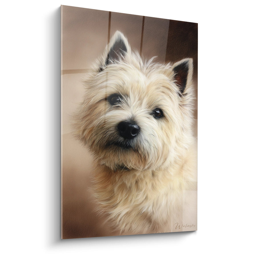 Tableau Portrait de Chien aux Poils Dorés et Oreilles Noires - Regard Tendre - Edition Cairn Terrier