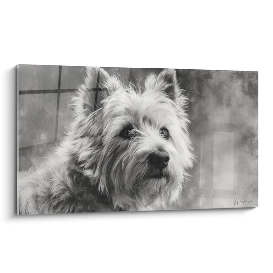 Ritratto in bianco e nero Cairn Terrier mantello ispido sguardo malinconico quadro murale artistico