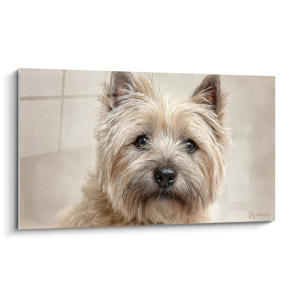 Cuadro Retrato de Perro con Pelo Dorado y Mirada Expresiva - Ternura Canina - Edición Cairn Terrier