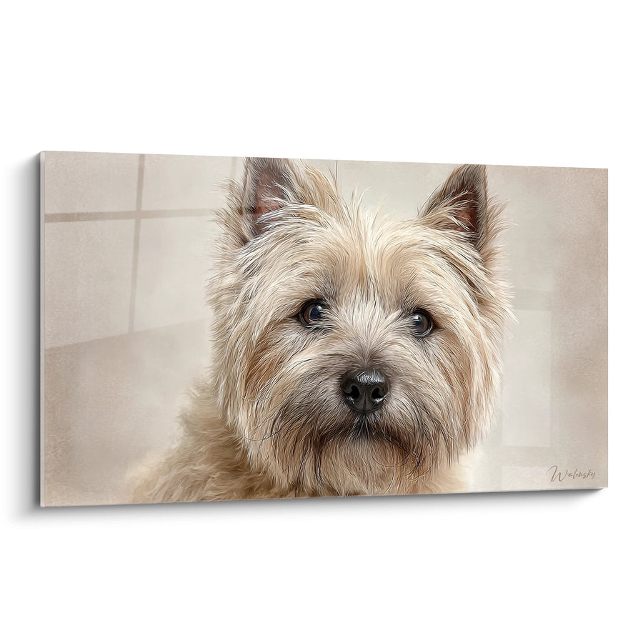 Tableau Portrait de Chien aux Poils Dorés et Regard Expressif - Tendresse Canine - Edition Cairn Terrier