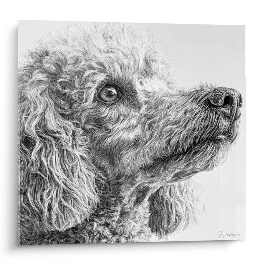 Poodle Portrait Painting with Majestic Curls - Contemplative Gaze - Poodle Edition