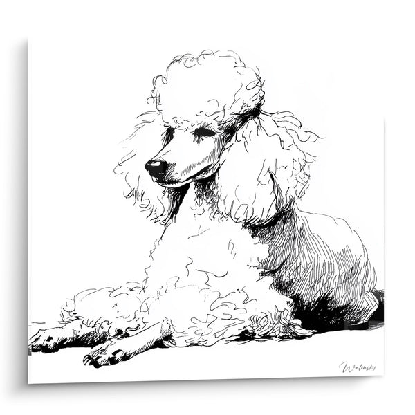 Cuadro de Caniche Mordisqueado a Tinta Negra - Retrato Artístico a Lápiz - Edición Caniche