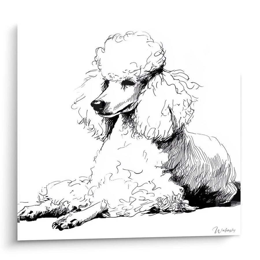 Poodle Sketched in Black Ink - Artistic Portrait Line Art - Poodle Edition