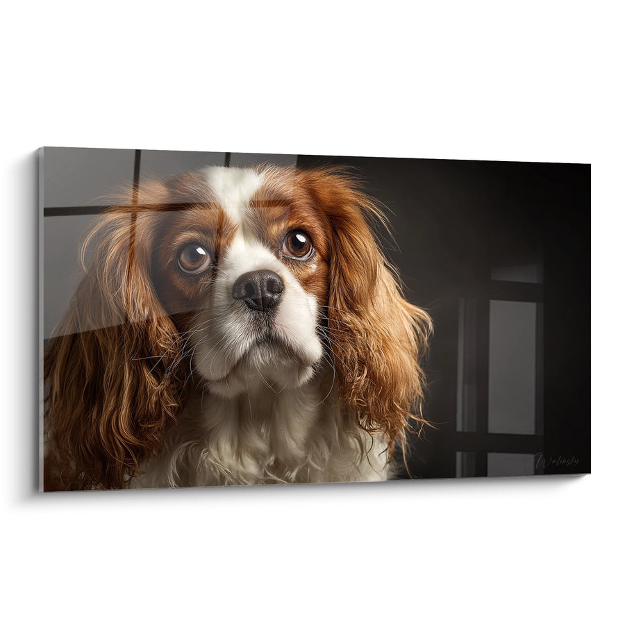 Tableau Cavalier King Charles Portrait Expressif aux Yeux Mélancoliques - Regard Tendre - Edition Tableau Cavalier King Charles