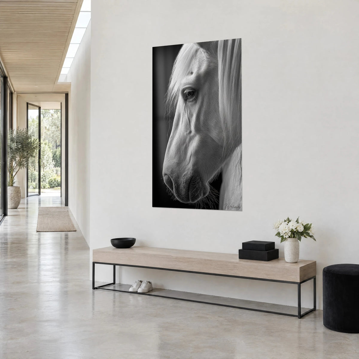 Tableau portrait équestre en noir et blanc, regard doux et naseaux sombres, sur mur clair d'un couloir vitré en perspective