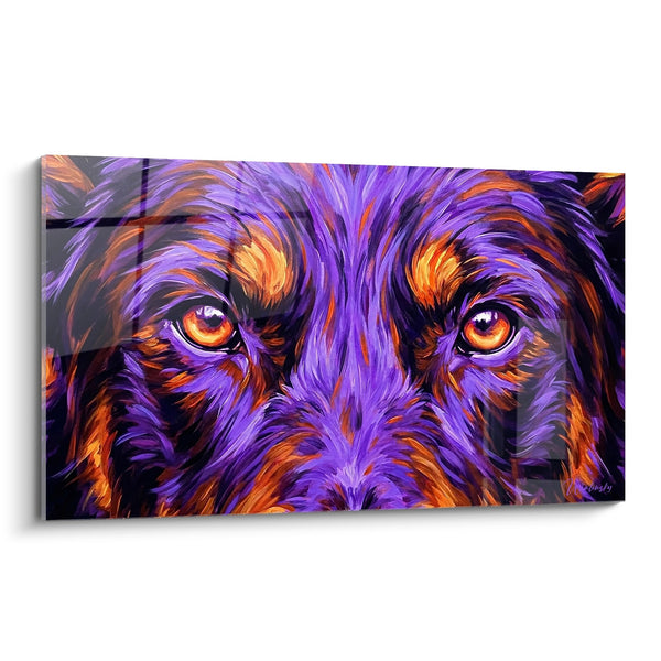 Cuadro Retrato de Perro con Tonos Violetas y Naranja - Mirada Intensa - Edición Beauceron