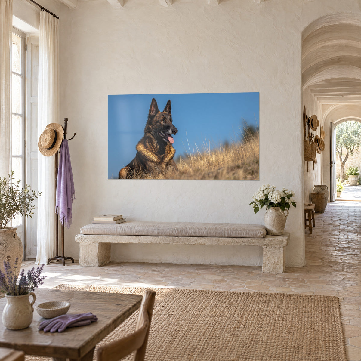 Wall art dog with erect ears, amber and charcoal coat, golden grasses, hung in the entrance of a Provençal farmhouse