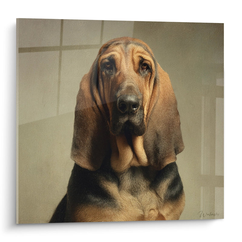 Long-Eared Dog Print Striking Portrait - Melancholic Gaze - Bloodhound Edition