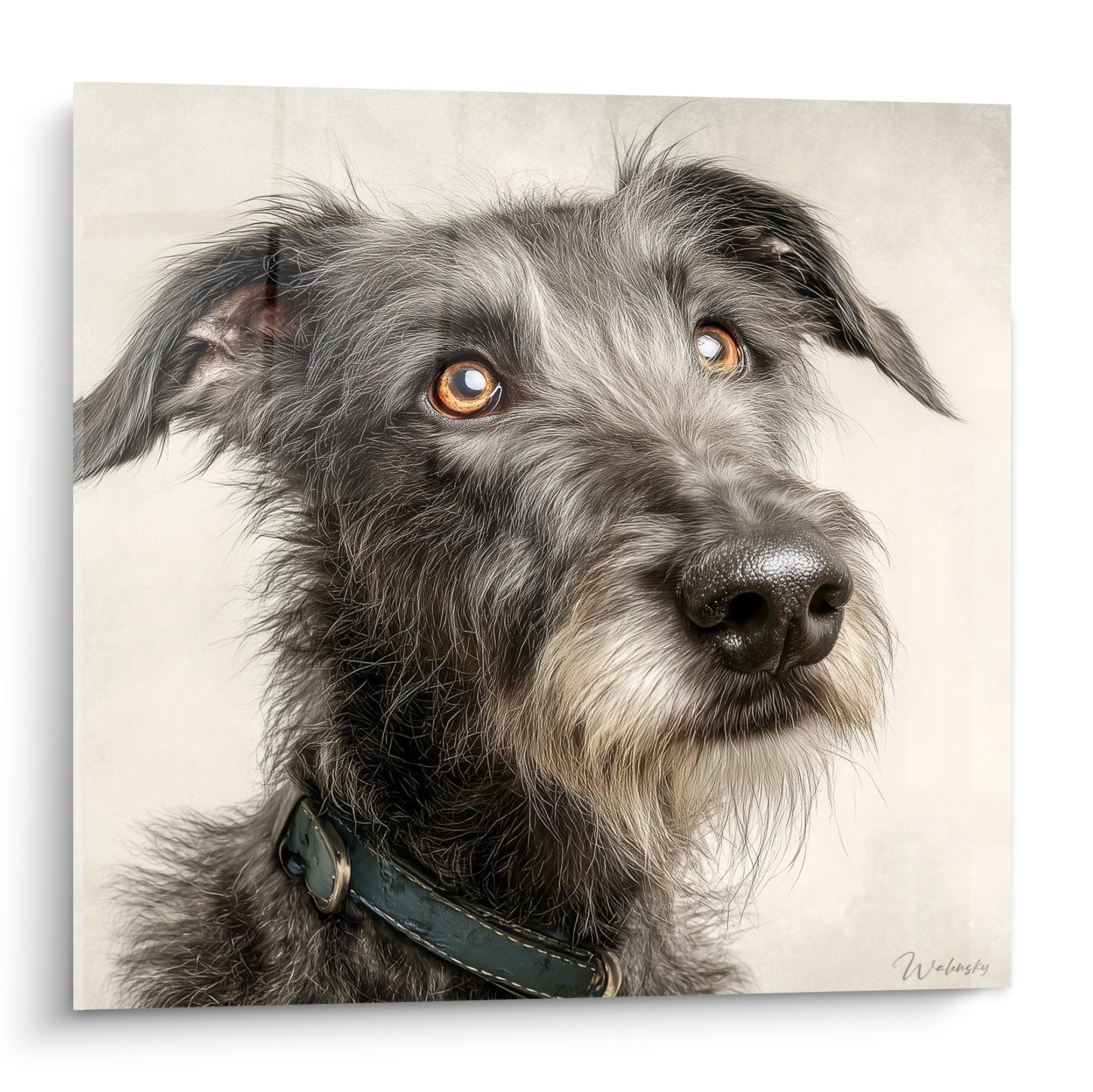 Portrait hyperrealiste chien Deerhound yeux ambres pelage gris collier cuir fond beige