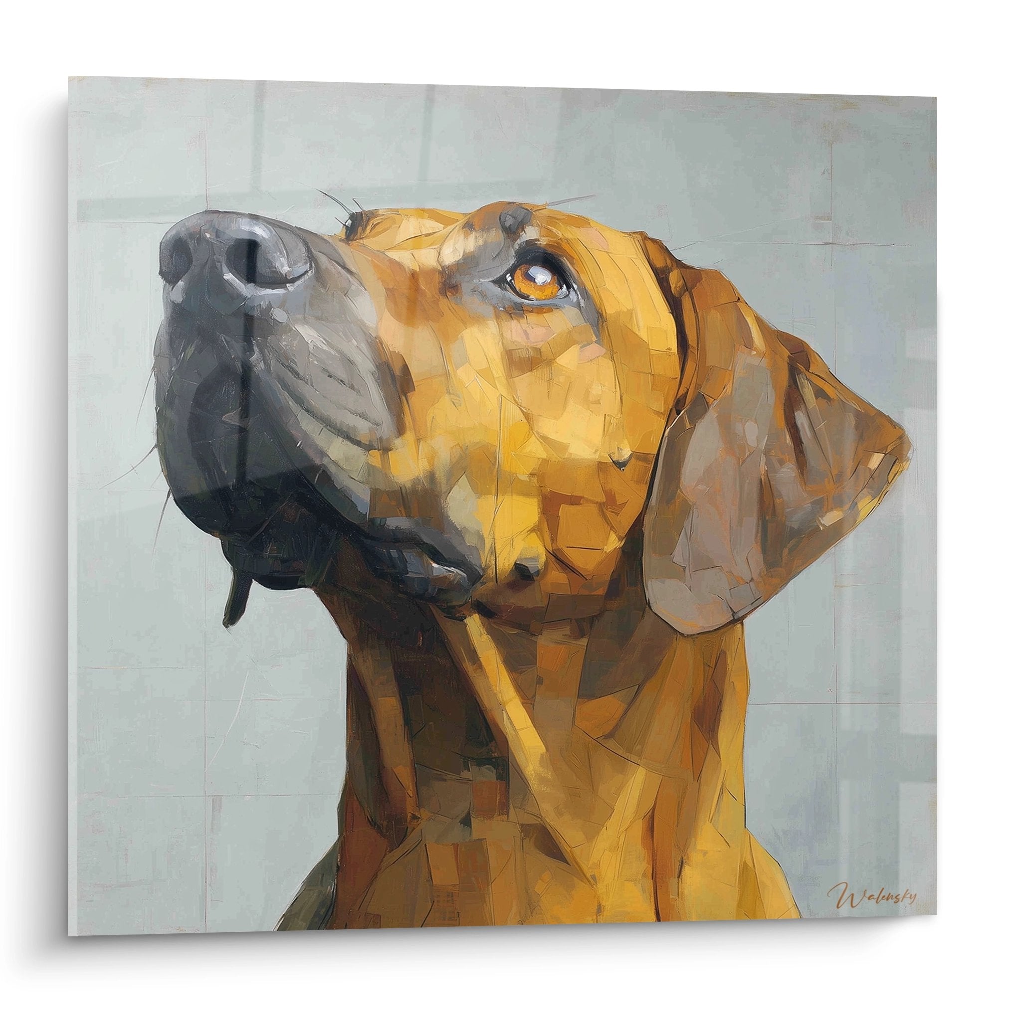 Portrait géométrique chien fauve doré truffe noire regard levé style moderne Rhodesian Ridgeback