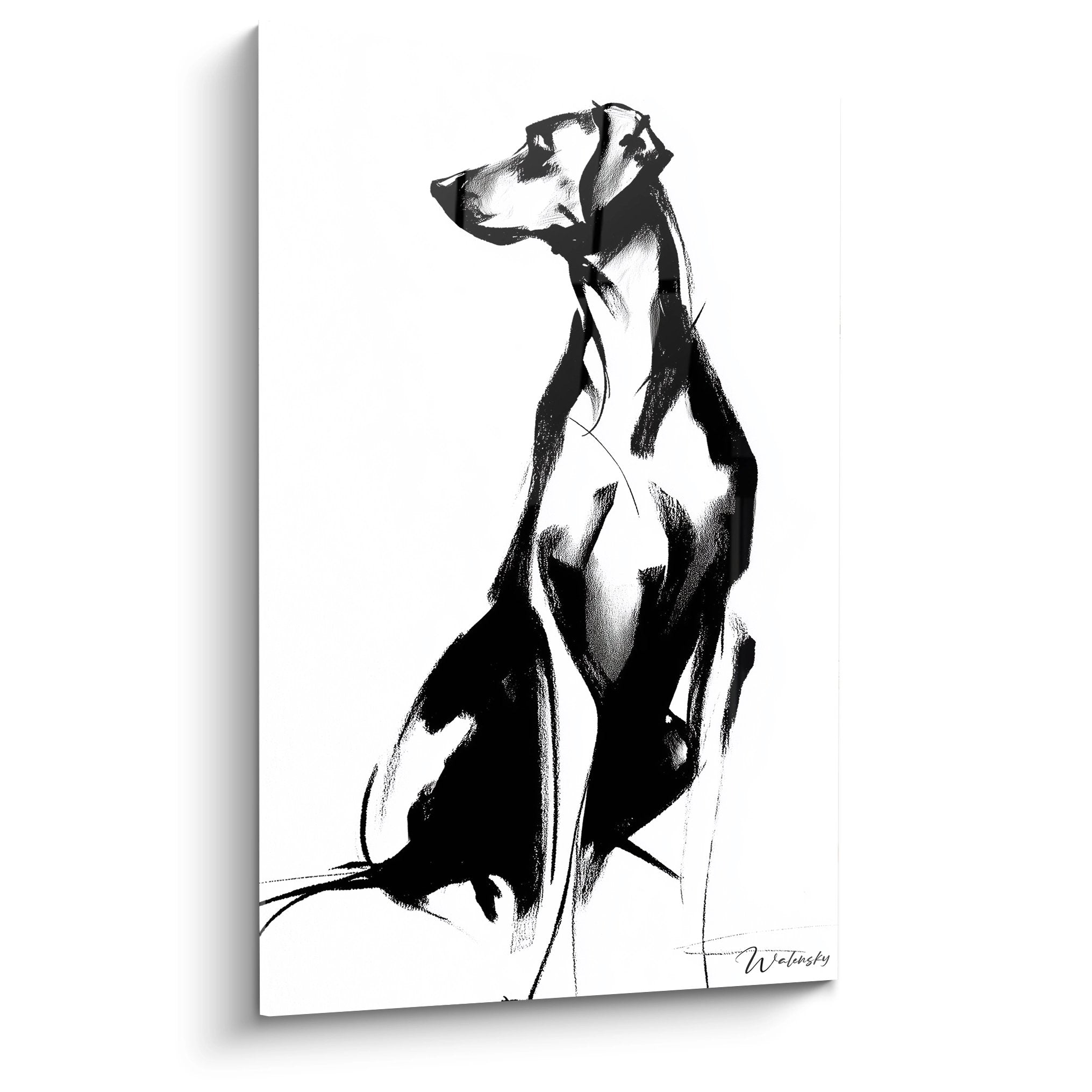 Portrait chien noir et blanc style contemporain, Rhodesian Ridgeback en pose noble regardant vers la gauche