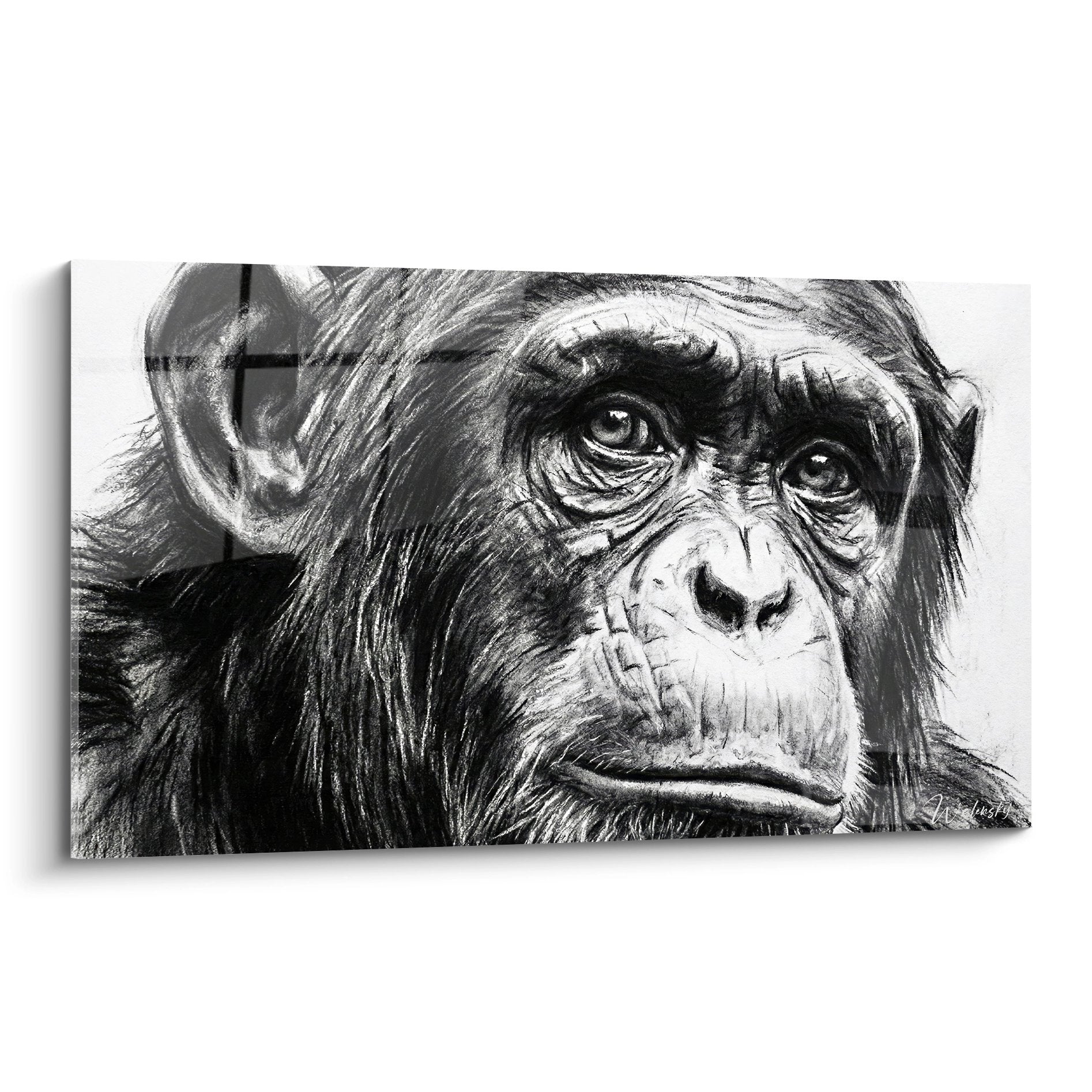 portrait chimpanze noir blanc regard intense dessin fusain realiste emotion