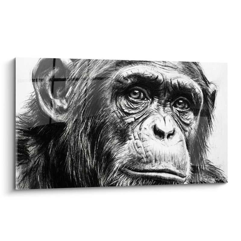 Quadro Ritratto Scimpanzé Bianco e Nero Sguardo Intenso - Emozione Bruta - Edizione Scimpanzé