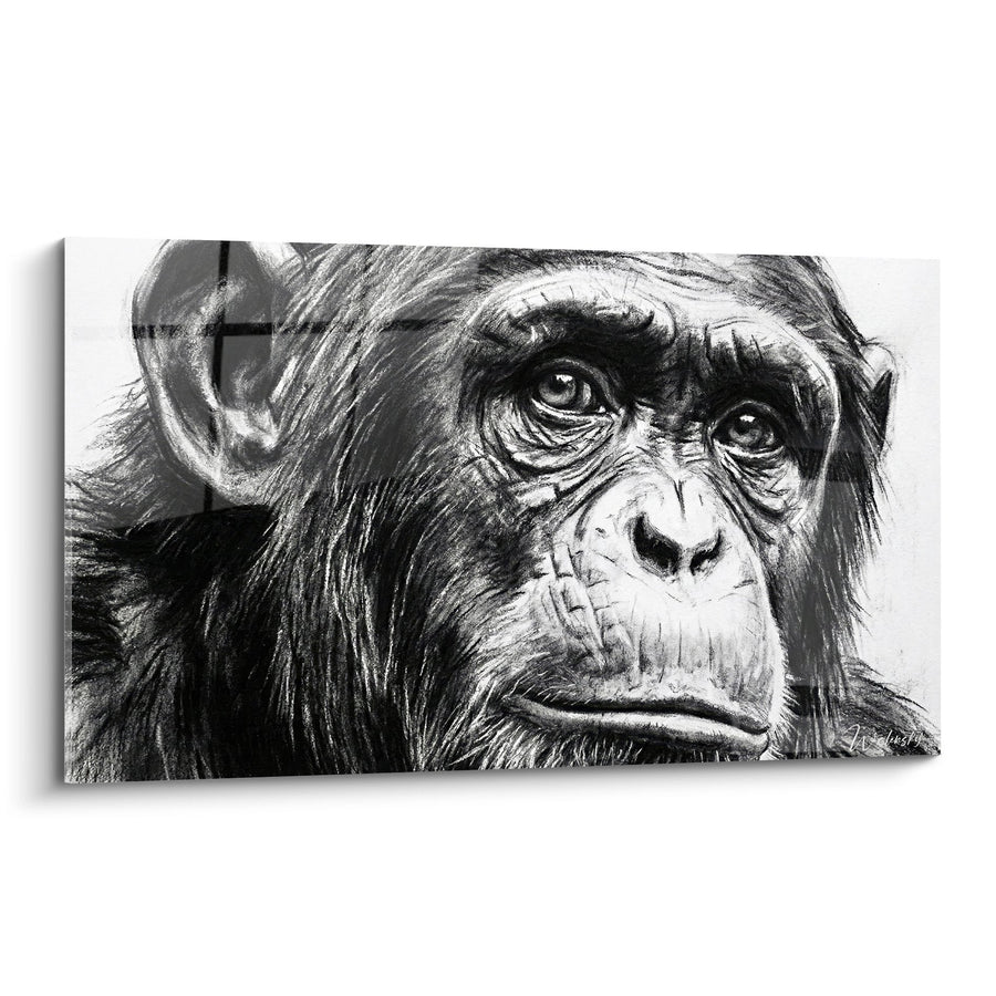 Tableau Portrait Chimpanzé Noir et Blanc Regard Intense - Émotion Brute - Edition Chimpanzé