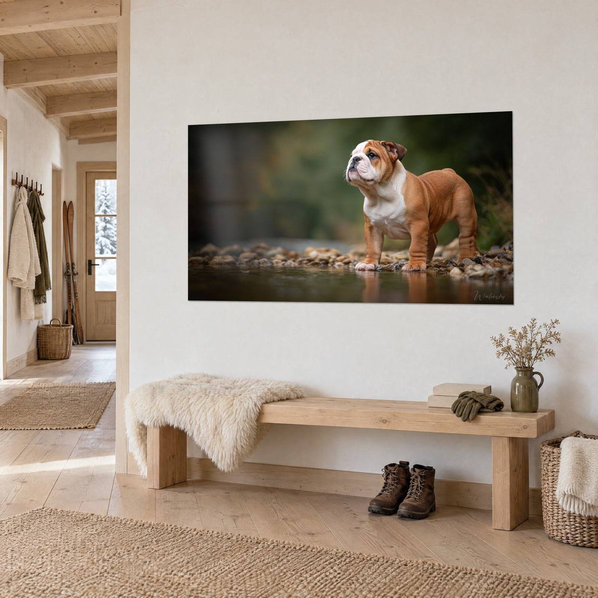 Tableau bouledogue anglais caramel et crème sur les galets, reflet dans l'eau, fond vert flou, vu de trois-quarts dans l'entrée d'un chalet