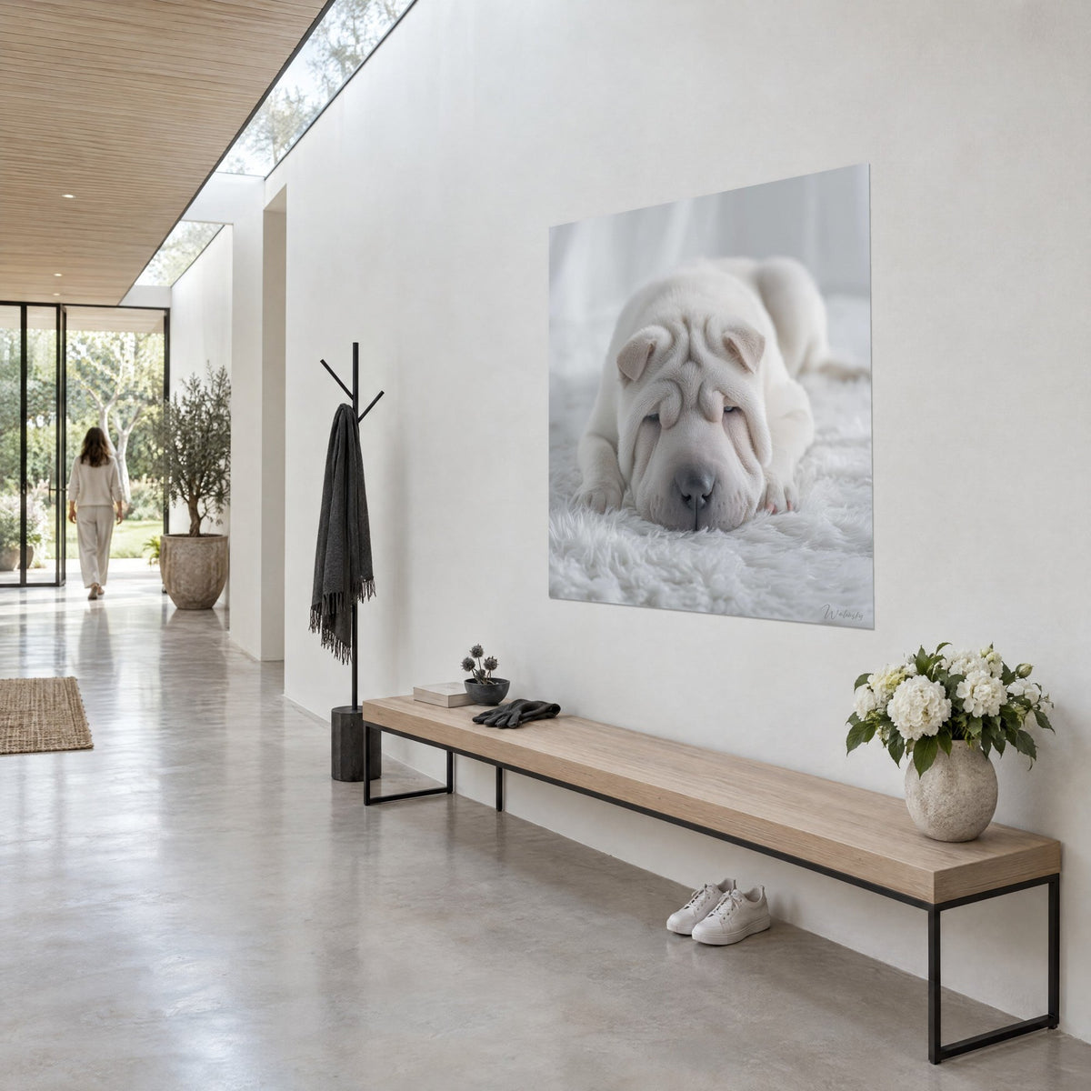 Cuadro pequeño perro arrugado blanco roto dormido, orejas beige rosado y manta marfil, vista de tres cuartos en un pasillo acristalado
